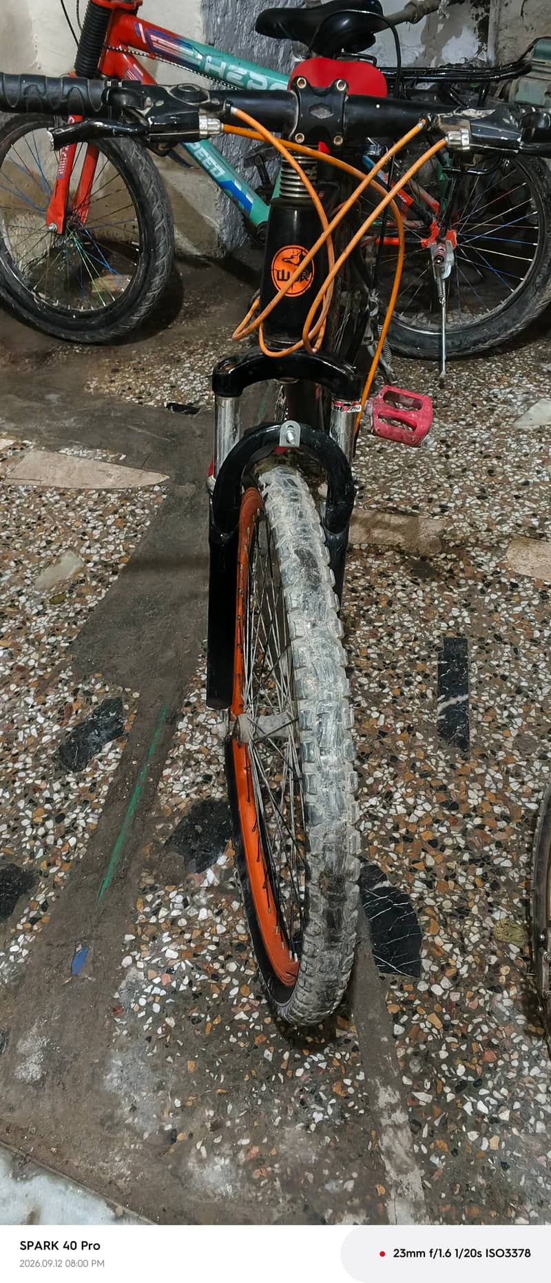 MT Wolf brand 3