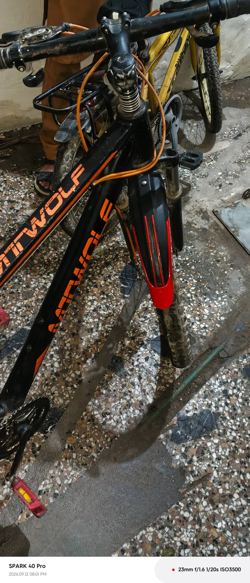 MT Wolf brand 12