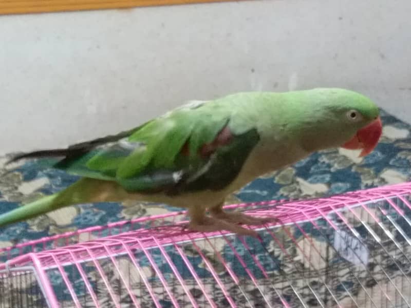 undefined 0