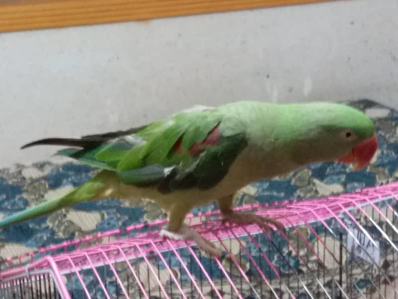 undefined 1