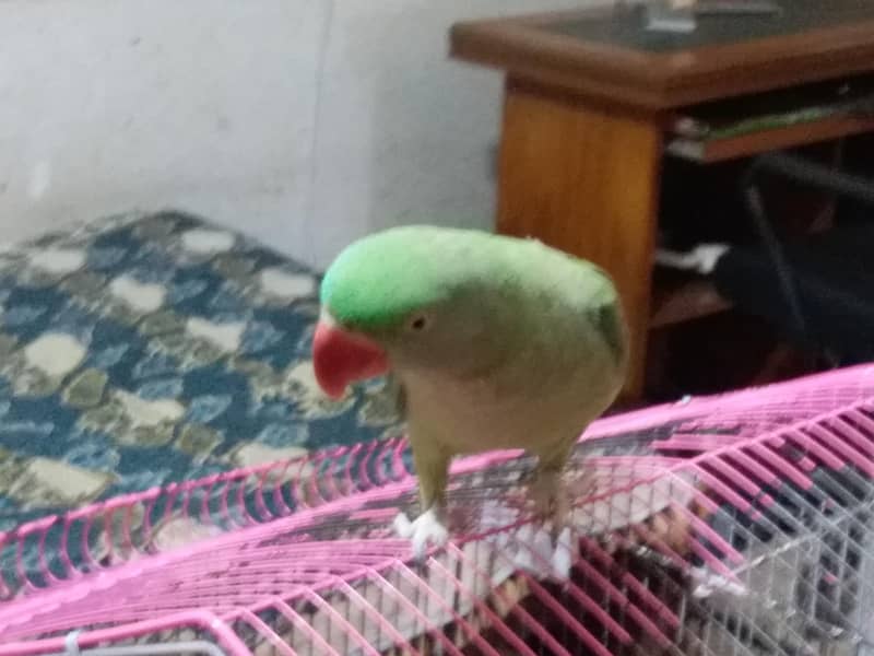 undefined 2