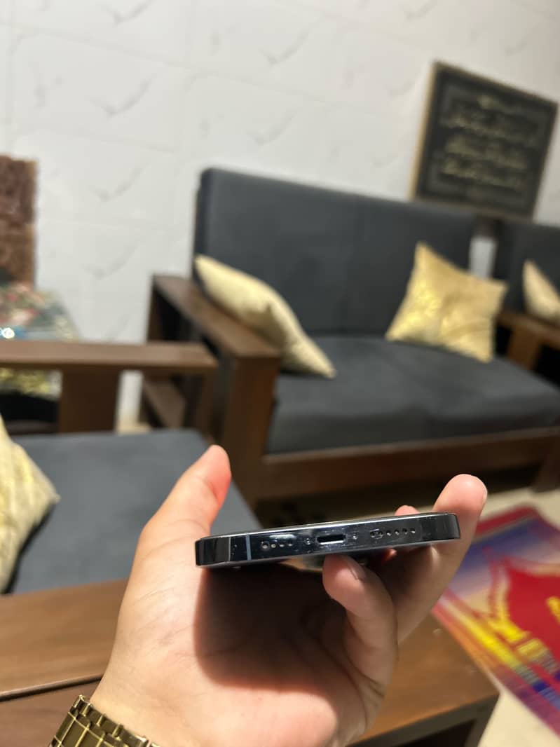 Apple iPhone 13 Pro Max 1