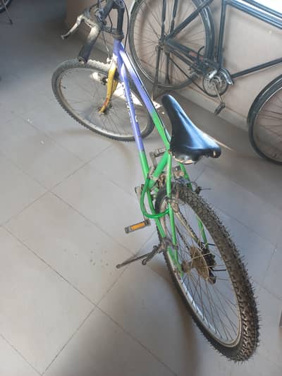 Bicycle for sale