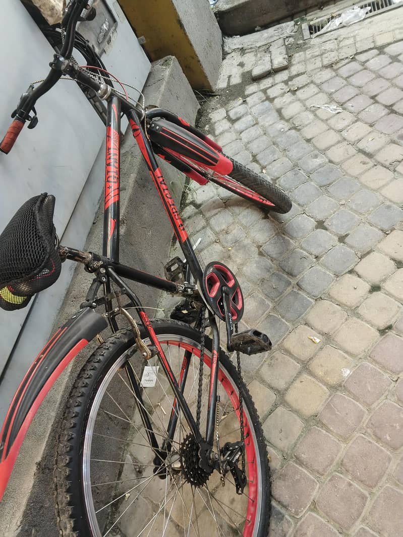 bycycle 1