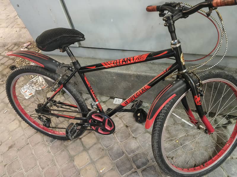 bycycle 2