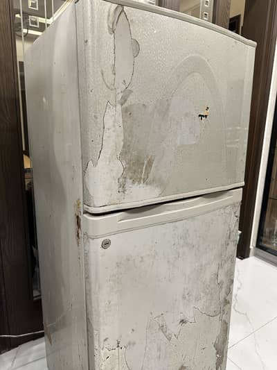 Old 2 Door Used Refrigerator - Perfect Cooling and Performnace