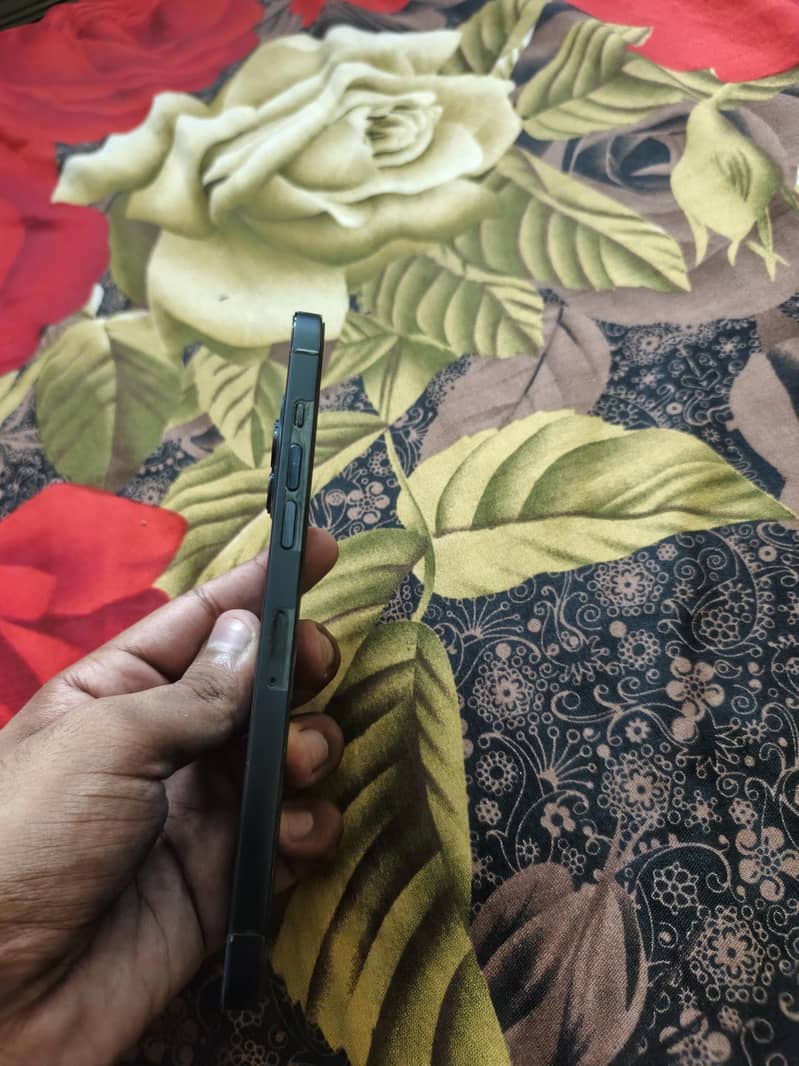 Apple iPhone 12 Pro Max 1
