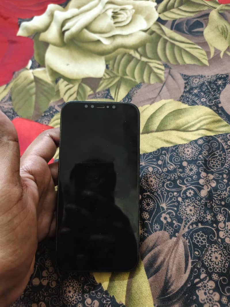 Apple iPhone 12 Pro Max 2