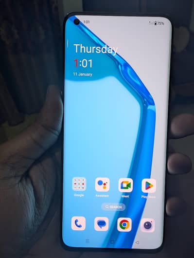 One Plus 9 Pro 5G