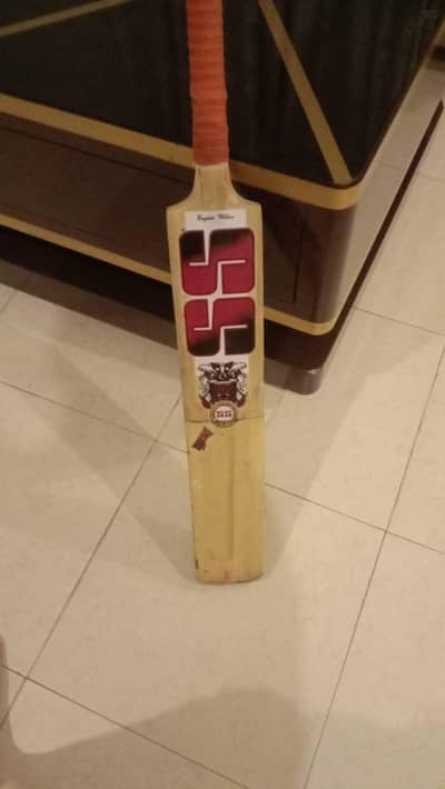 ss devil edition bat only 3 months use