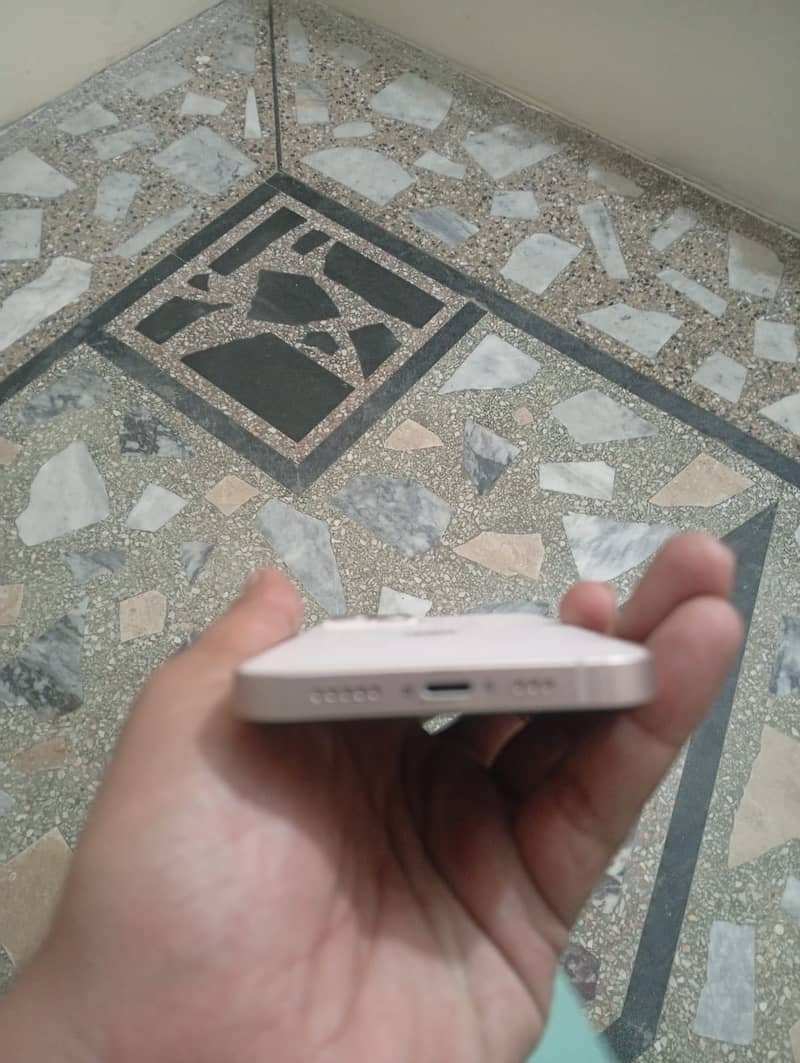 Apple iPhone 13 0
