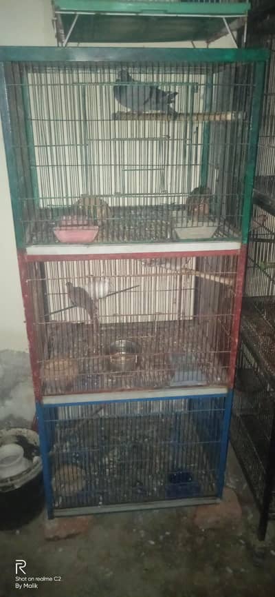 3 porshan cage 03127093372