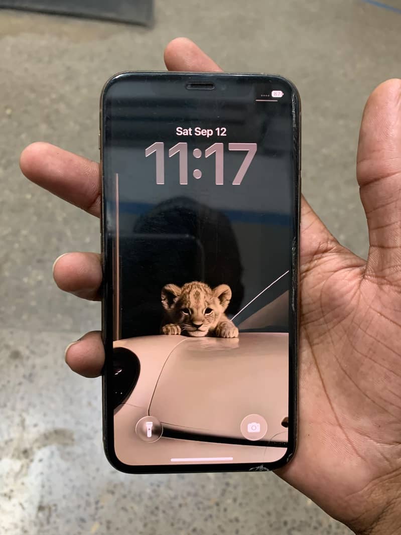 Apple iPhone 11pro 1