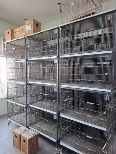 Birds cage | Iron cage | 4 separate boxes | movable | pinjra