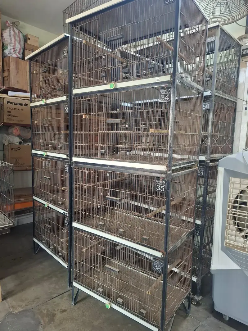 Birds cage | Iron cage | 4 separate boxes | movable | pinjra — photo 2