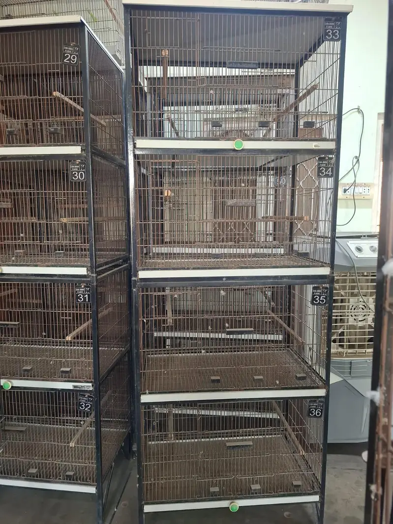 Birds cage | Iron cage | 4 separate boxes | movable | pinjra — photo 3