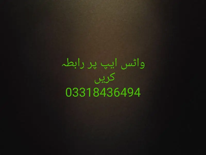 کشمیری را بولنے والا طوطا واٹس ایپ نمبر رابطہ کریں — photo 2