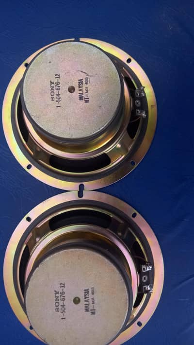 Sony 6inch Speakers