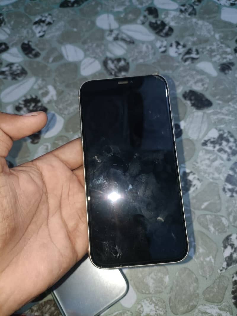 Apple iPhone 11 2