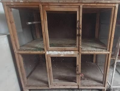 birds Cage for sale