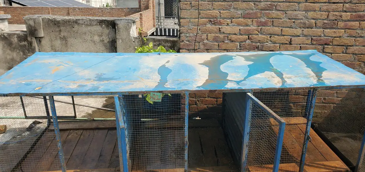 Urgent sale just like new — photo 3