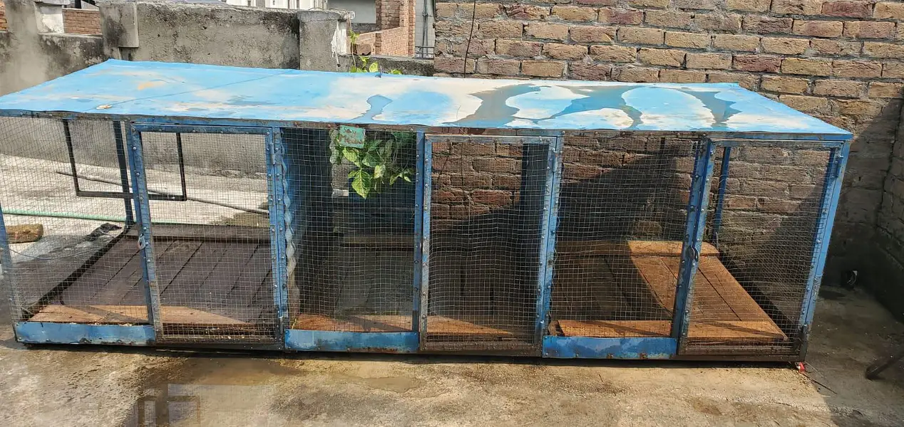 Urgent sale just like new — photo 8