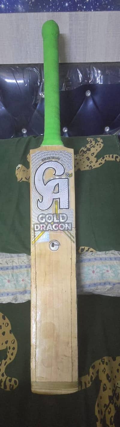 Used CA Dragon