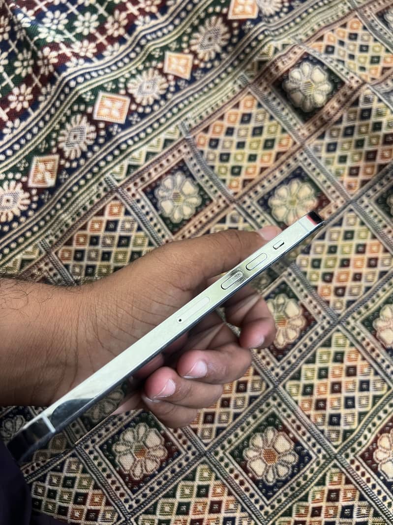 Apple iPhone 13 Pro Max 2