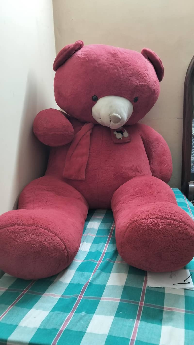 Big Teddy Bear 0