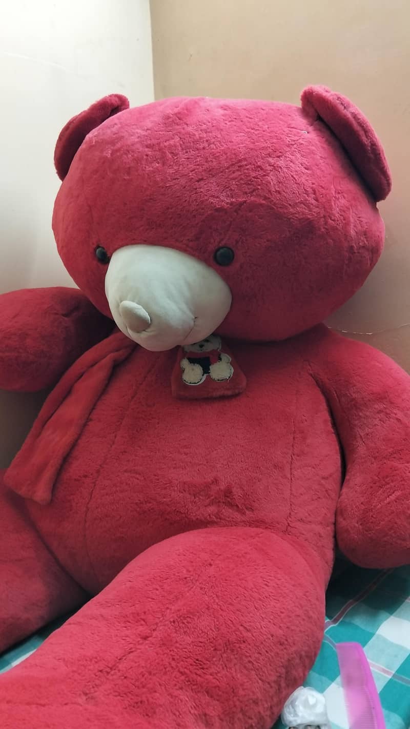 Big Teddy Bear 1