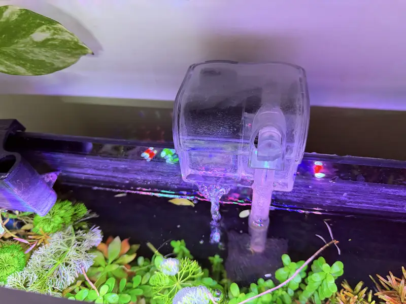 Planted aquarium — photo 2