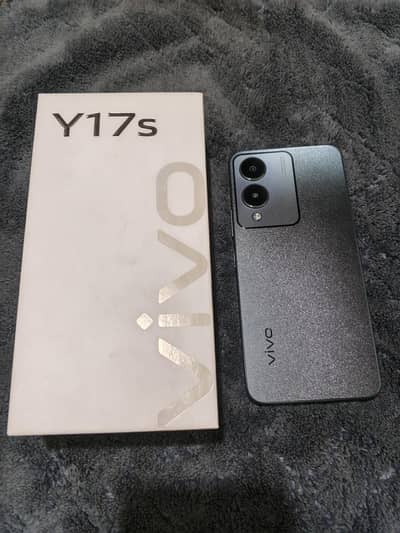 Vivo Y17s
