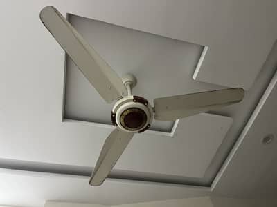 Super waves coper celling fans