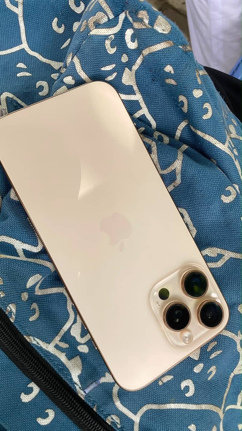 Apple iPhone 16 Pro Max 1