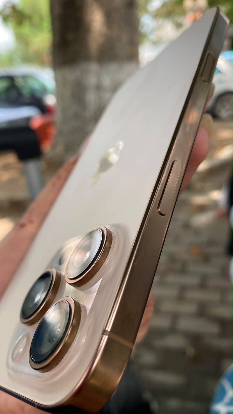 Apple iPhone 16 Pro Max 2