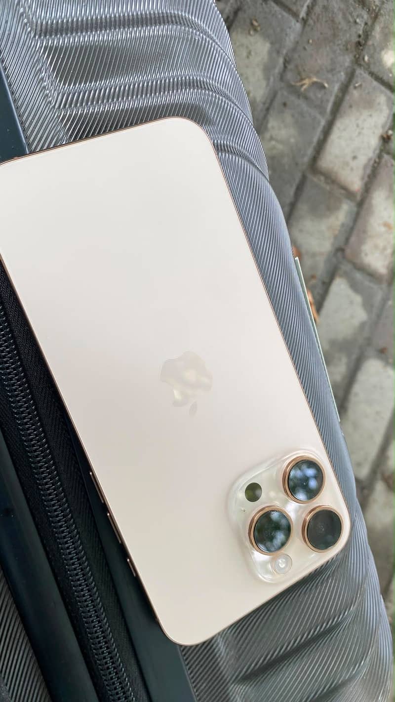 Apple iPhone 16 Pro Max 3