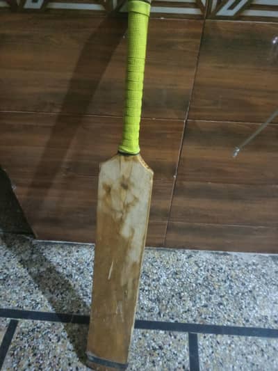 Bat for sale