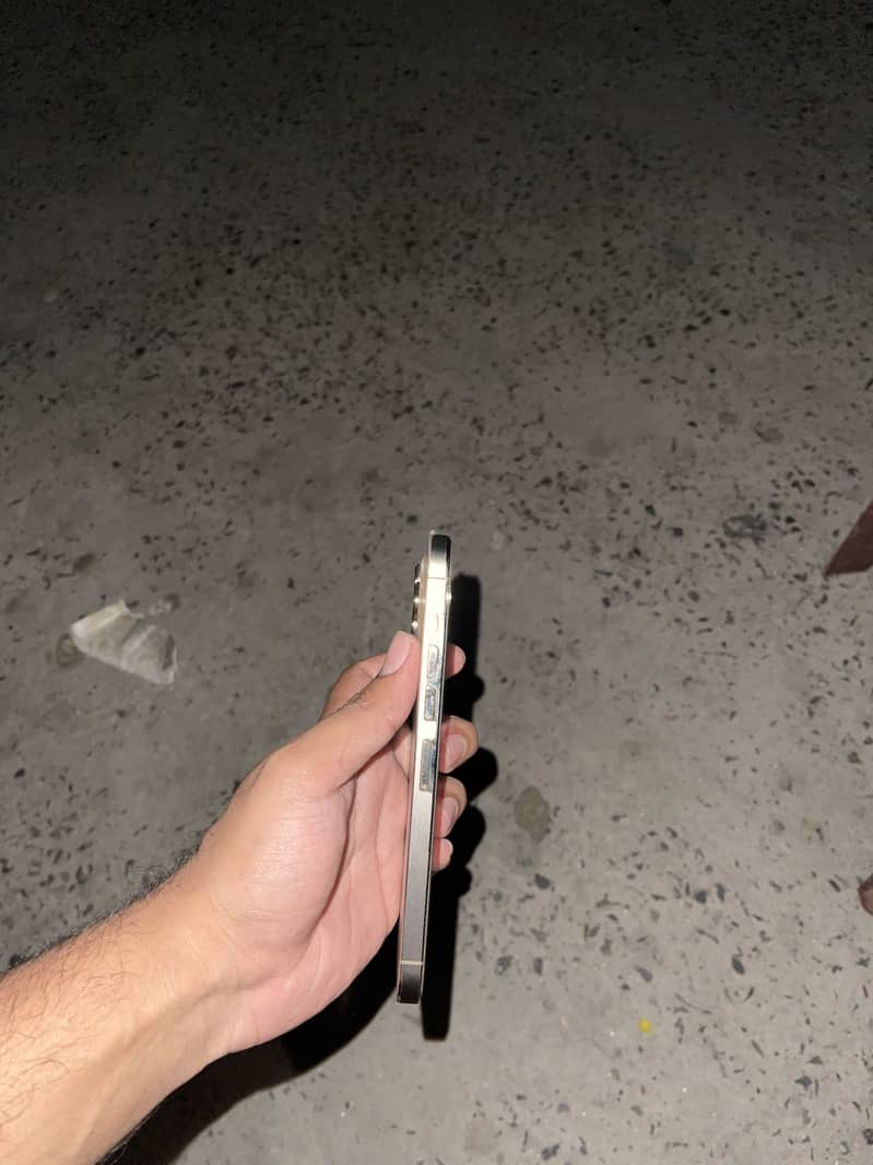 Apple iPhone 13 Pro Max 1
