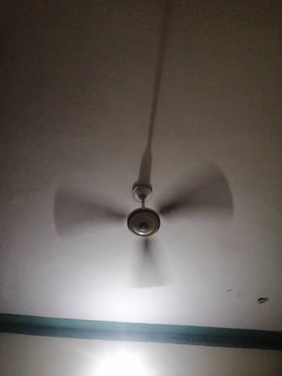 fan for sell  3000 finel all ok ha
