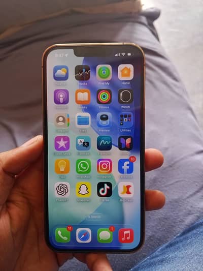 Apple iPhone 13 Pro