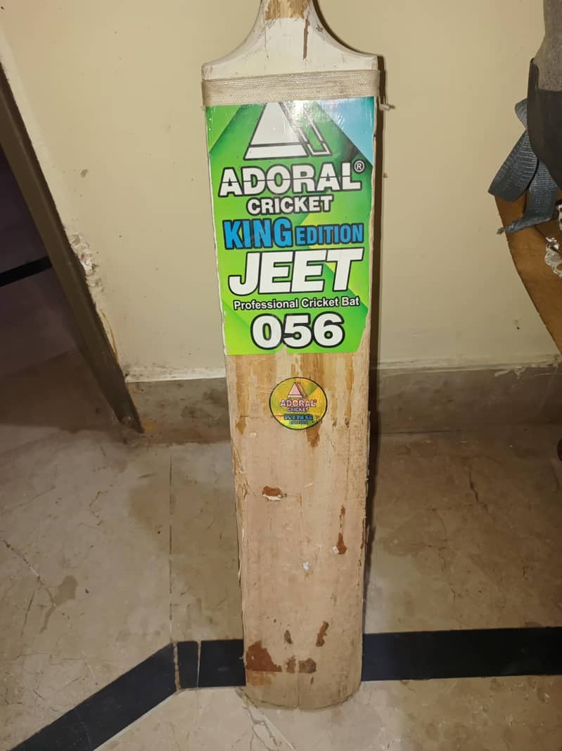 Cricket bat 1