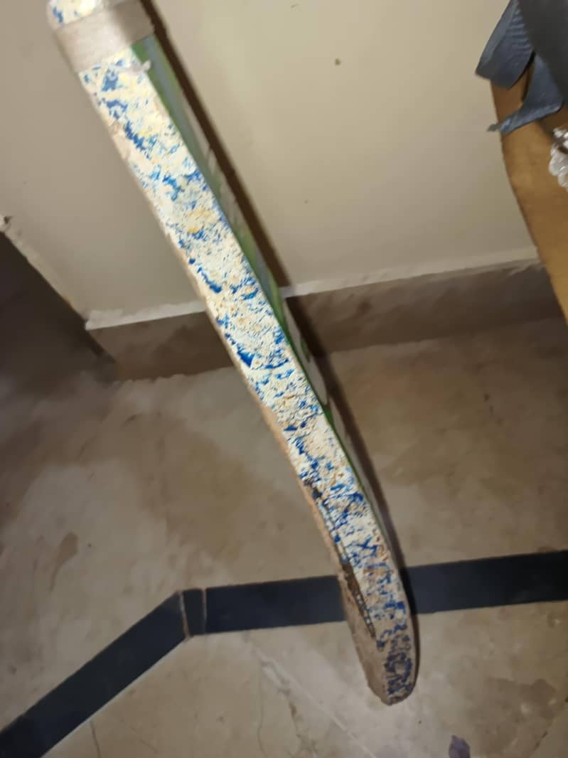 Cricket bat 2