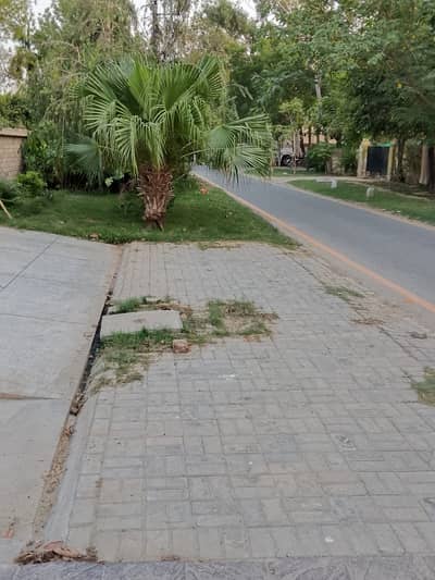 Ground Floor portion Available For Rent in Falcon Complex Gulberg