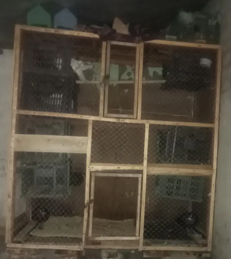 wood cage — photo 2