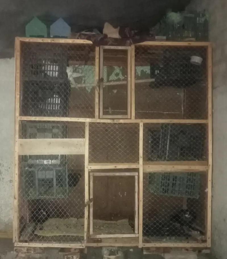 wood cage — photo 3