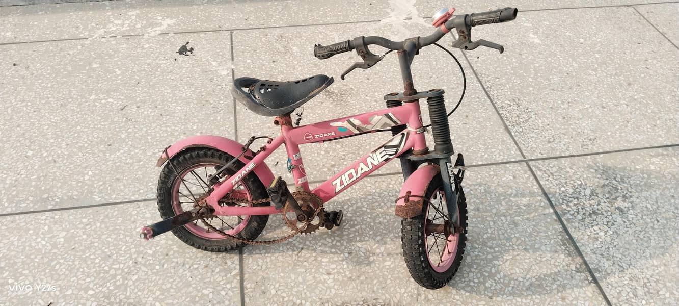 bicycle 1