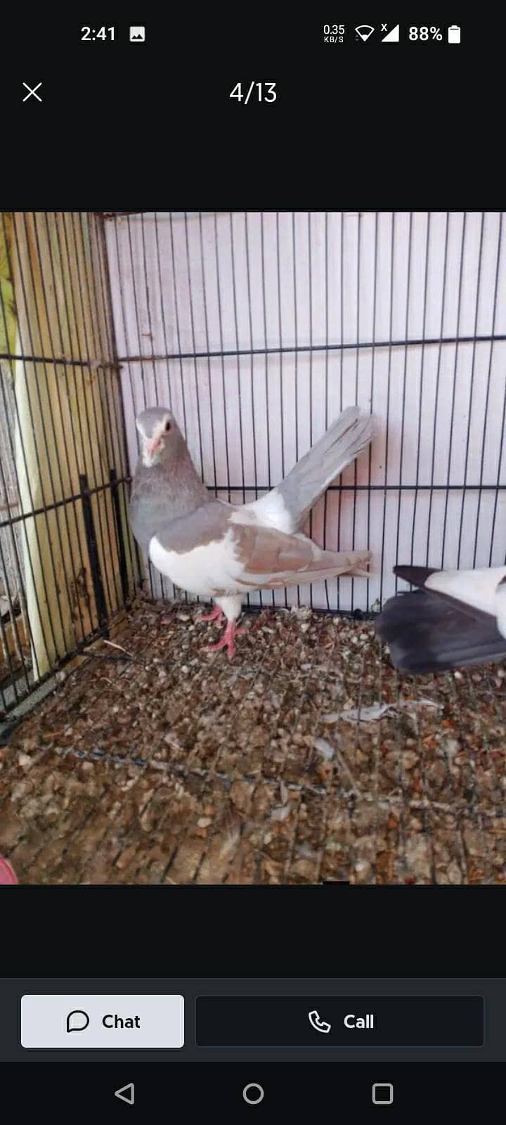 khal pair 5
