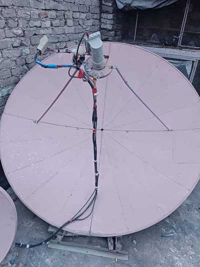 sahbeer 6 fout a qulty dish 20