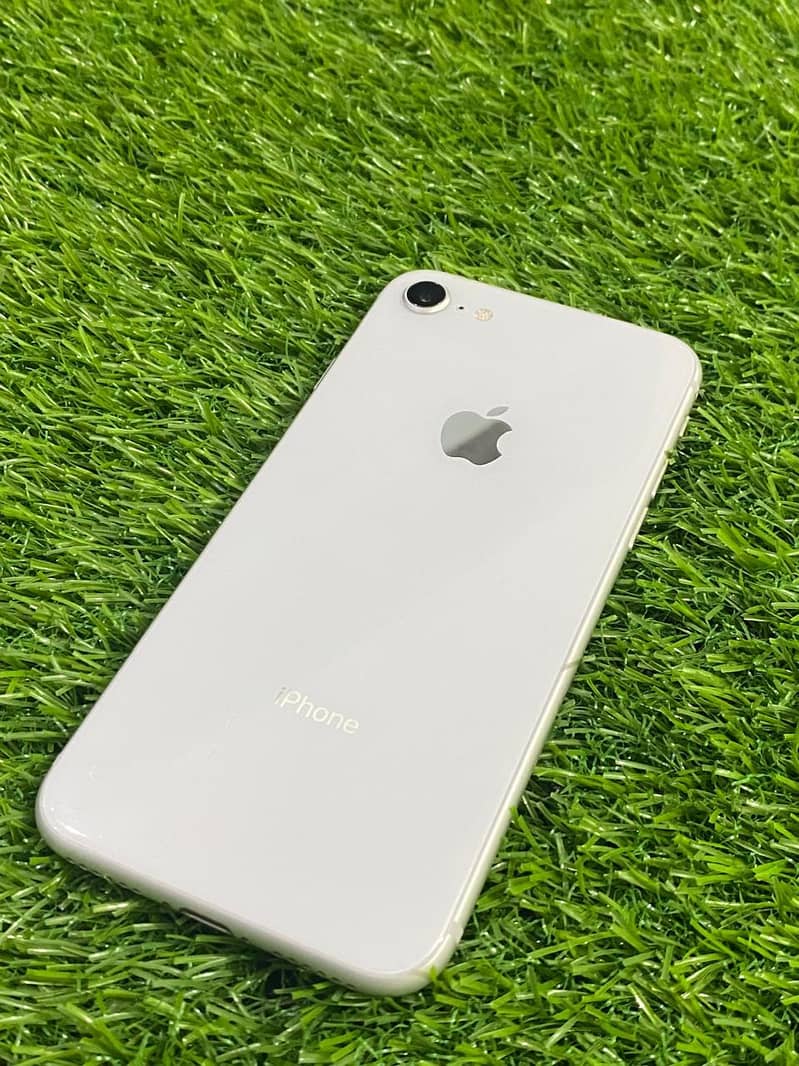 Apple iPhone 8 0