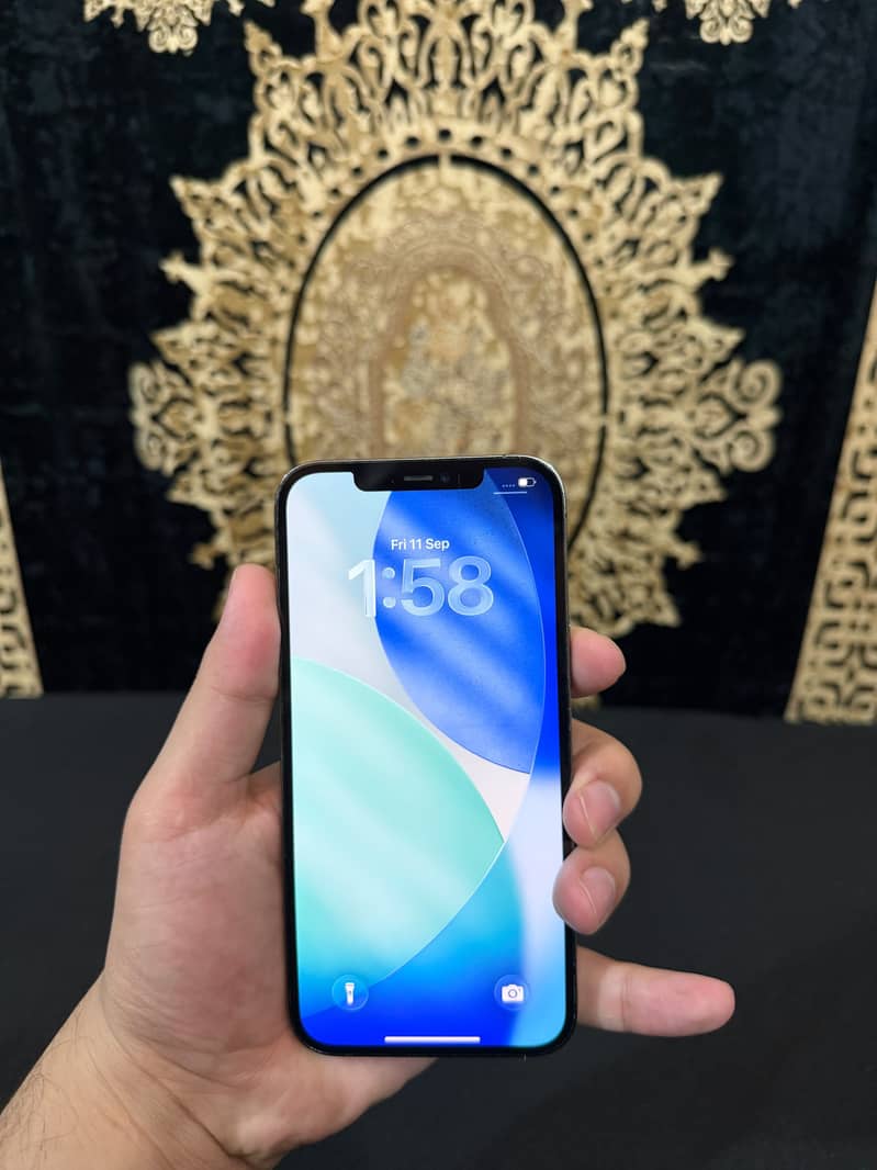 Apple iPhone 12 Pro Max 2